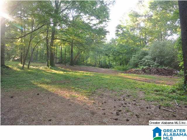 5446 Old Springville Road Pinson, AL 35126 - Photo 30 of 31