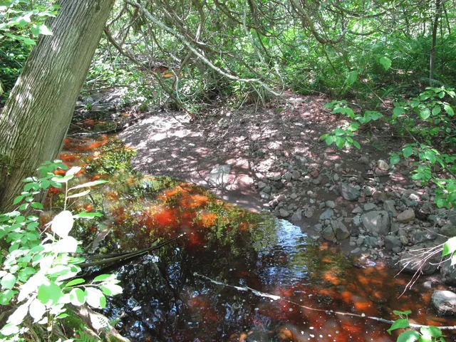 $300,000 | 5-xx Caribou Trail, Lutsen, MN 55612