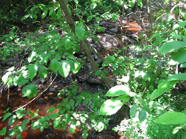 $300,000 | 5-xx Caribou Trail, Lutsen, MN 55612