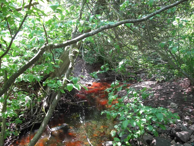 $300,000 | 5-xx Caribou Trail, Lutsen, MN 55612