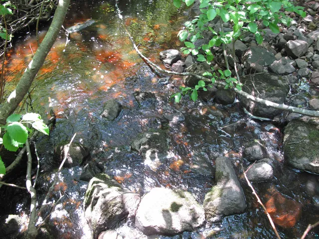 $300,000 | 5-xx Caribou Trail, Lutsen, MN 55612