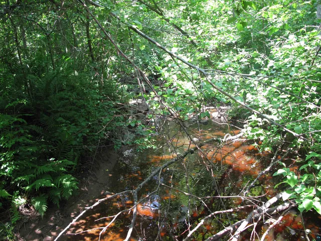 $300,000 | 5-xx Caribou Trail, Lutsen, MN 55612