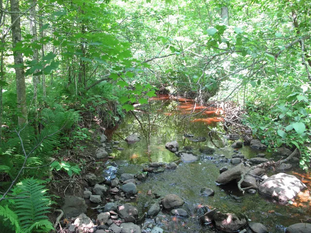 $300,000 | 5-xx Caribou Trail, Lutsen, MN 55612