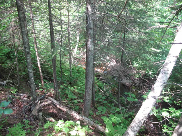 $300,000 | 5-xx Caribou Trail, Lutsen, MN 55612