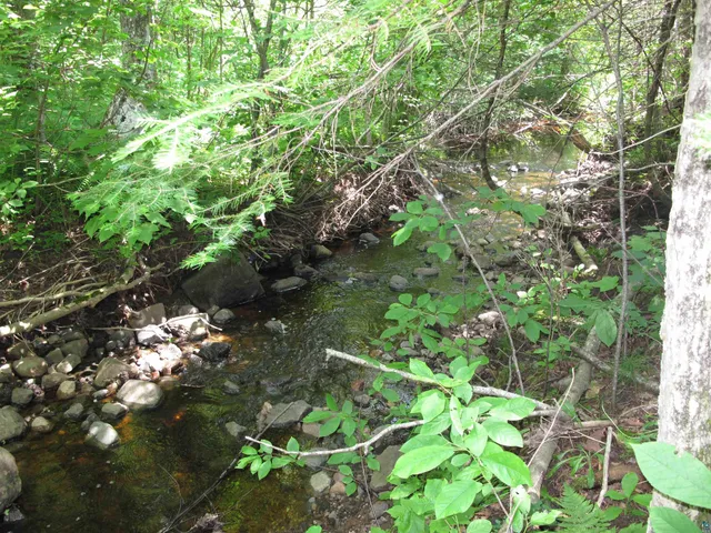 $300,000 | 5-xx Caribou Trail, Lutsen, MN 55612