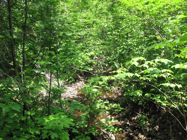 $300,000 | 5-xx Caribou Trail, Lutsen, MN 55612