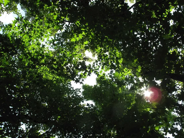 $300,000 | 5-xx Caribou Trail, Lutsen, MN 55612