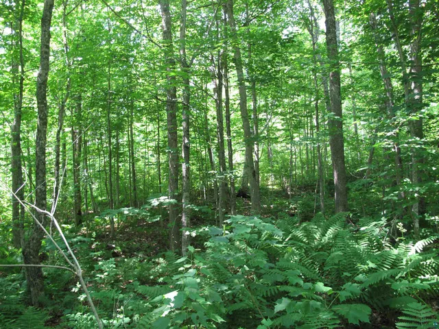 $300,000 | 5-xx Caribou Trail, Lutsen, MN 55612