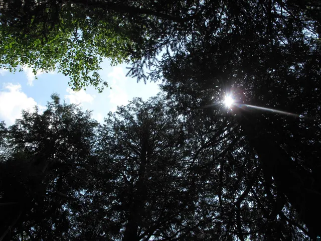 $300,000 | 5-xx Caribou Trail, Lutsen, MN 55612