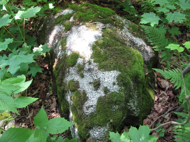 $300,000 | 5-xx Caribou Trail, Lutsen, MN 55612