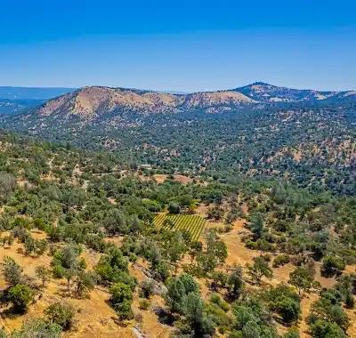 49610 House Ranch Road O'Neals, CA 93645 - Photo 38 of 48 aerial view looking north