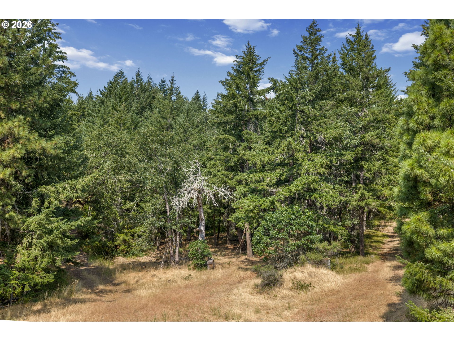 Lyle Snowden Road Lyle, WA 98635 - Photo 11 of 36 Gallery Image 11