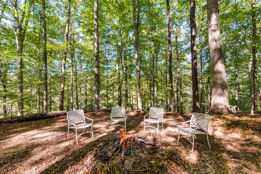7315 Coldwater Road Fairview, TN 37062 - Photo 28 of 30 a view of a patio with couple of chairs