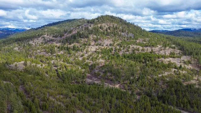 $680,000 | 352 X Green Road, Valley, WA 99181