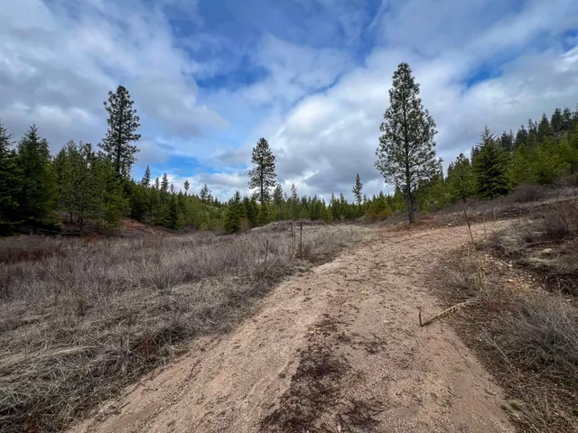 $680,000 | 352 X Green Road, Valley, WA 99181