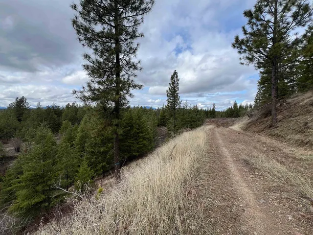 $680,000 | 352 X Green Road, Valley, WA 99181