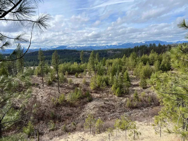 $680,000 | 352 X Green Road, Valley, WA 99181