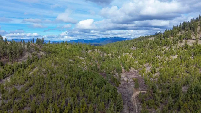 $680,000 | 352 X Green Road, Valley, WA 99181