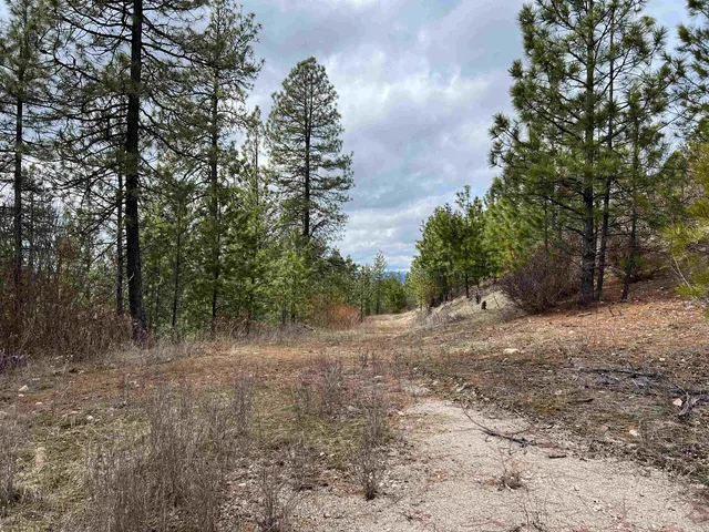 $680,000 | 352 X Green Road, Valley, WA 99181