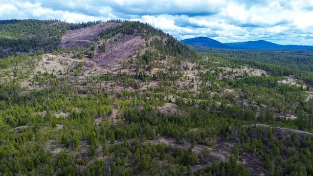 $680,000 | 352 X Green Road, Valley, WA 99181