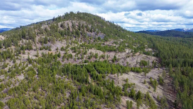 $680,000 | 352 X Green Road, Valley, WA 99181