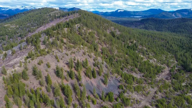 $680,000 | 352 X Green Road, Valley, WA 99181