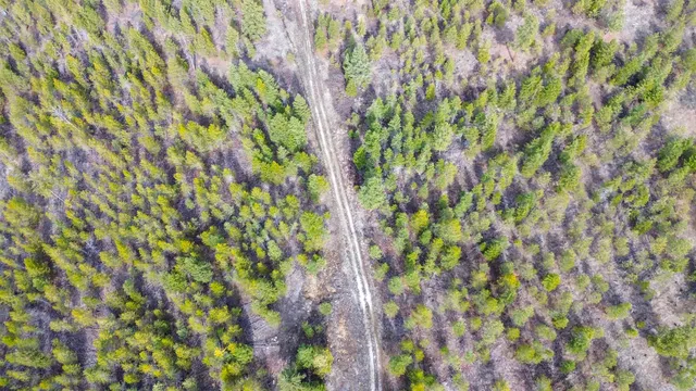 $680,000 | 352 X Green Road, Valley, WA 99181