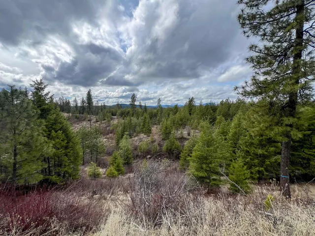 $680,000 | 352 X Green Road, Valley, WA 99181
