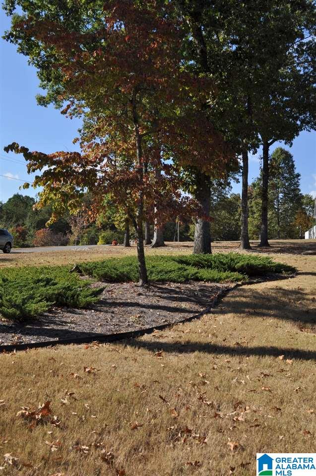3705 Hunter Ridge Road Moody, AL 35004 - Photo 6 of 50