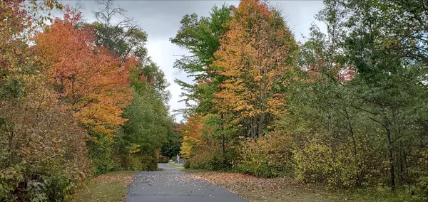 $550,000 | N11024 Deer Lake Road, Stephenson, WI 54104