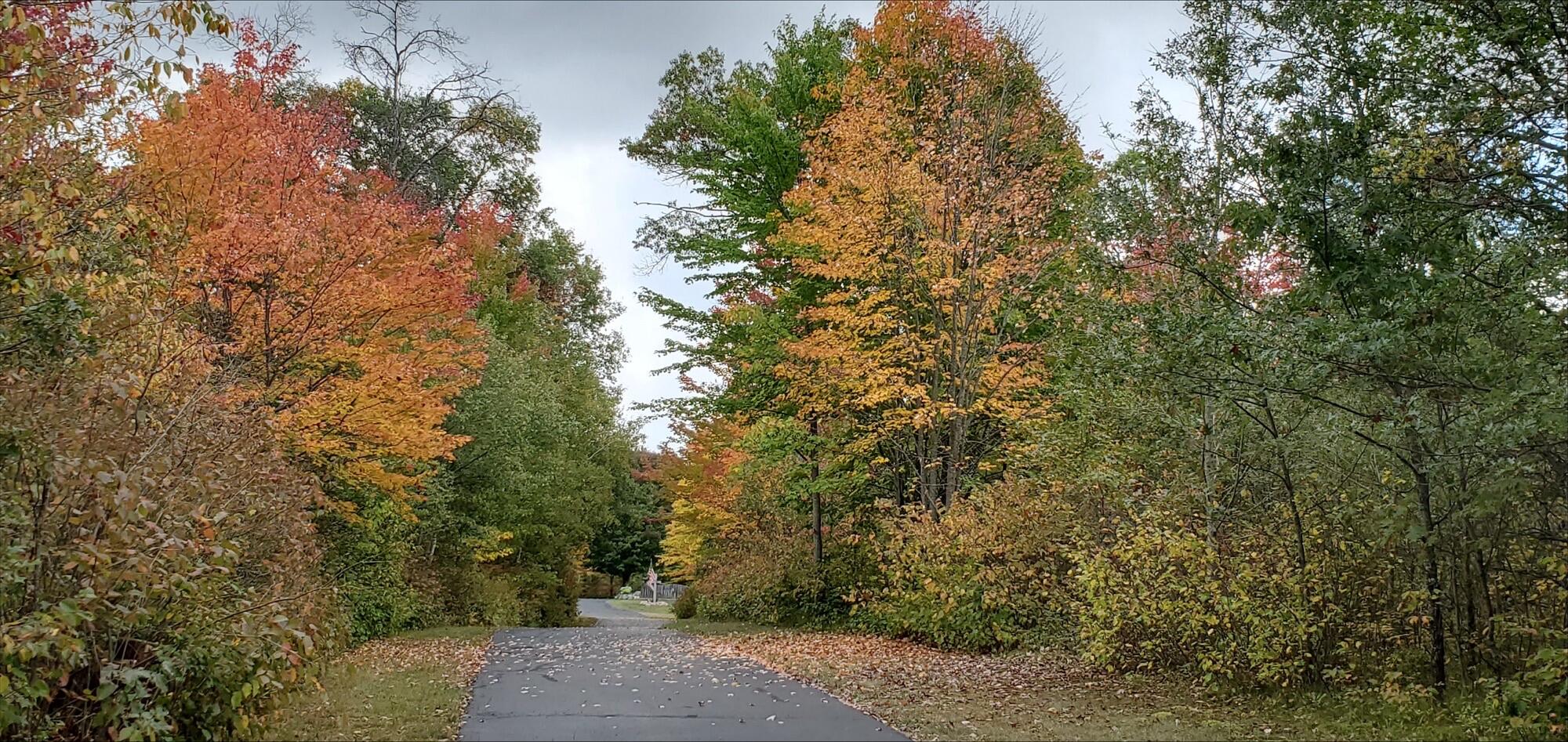 N11024 Deer Lake Road Stephenson, WI 54104 - Photo 2 of 99 Long Private Blacktopped Driveway