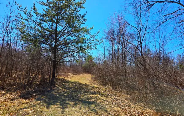 $550,000 | N11024 Deer Lake Road, Stephenson, WI 54104