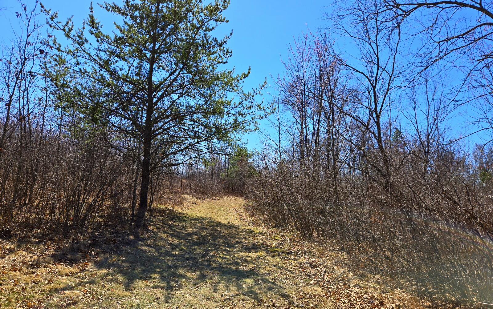 N11024 Deer Lake Road Stephenson, WI 54104 - Photo 53 of 101 Lot-3