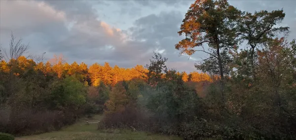 $550,000 | N11024 Deer Lake Road, Stephenson, WI 54104