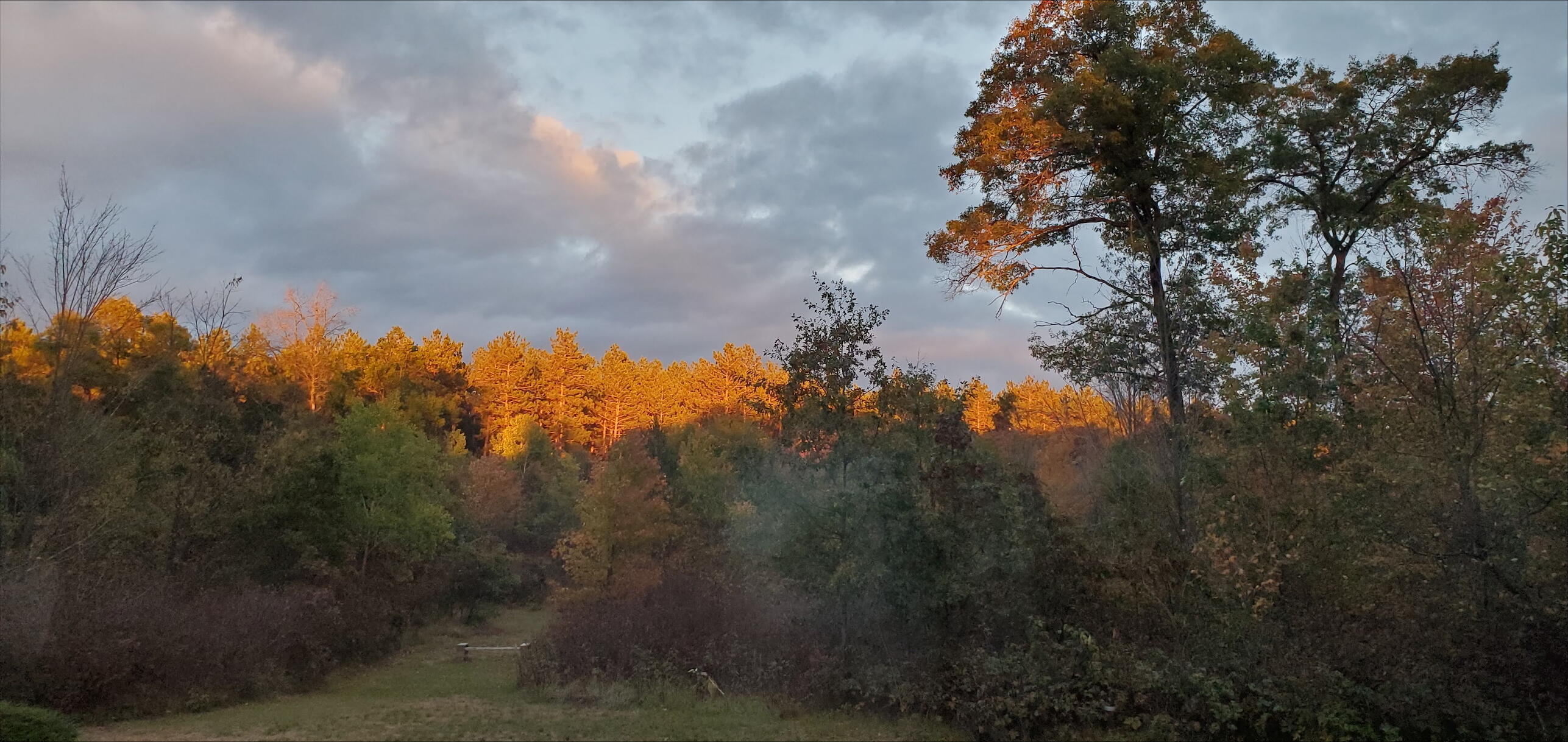 N11024 Deer Lake Road Stephenson, WI 54104 - Photo 58 of 101 Fall Colors-3