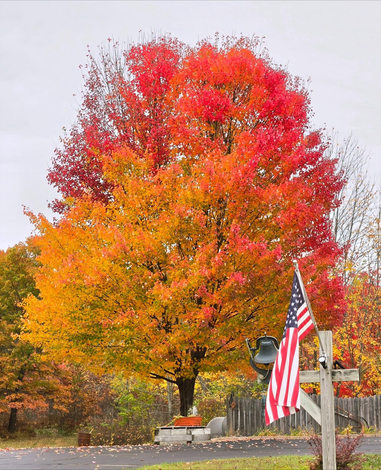 N11024 Deer Lake Road Stephenson, WI 54104 - Photo 71 of 99 Fall Colors