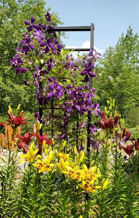 $550,000 | N11024 Deer Lake Road, Stephenson, WI 54104