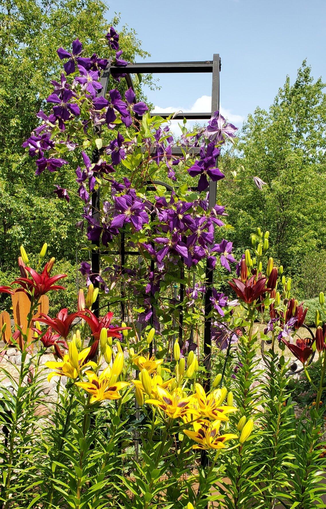 N11024 Deer Lake Road Stephenson, WI 54104 - Photo 73 of 99 Perennials-2