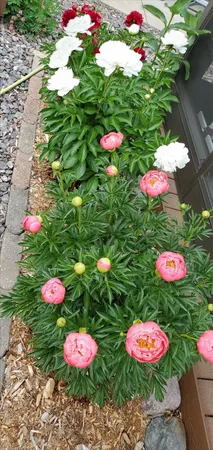 $550,000 | N11024 Deer Lake Road, Stephenson, WI 54104