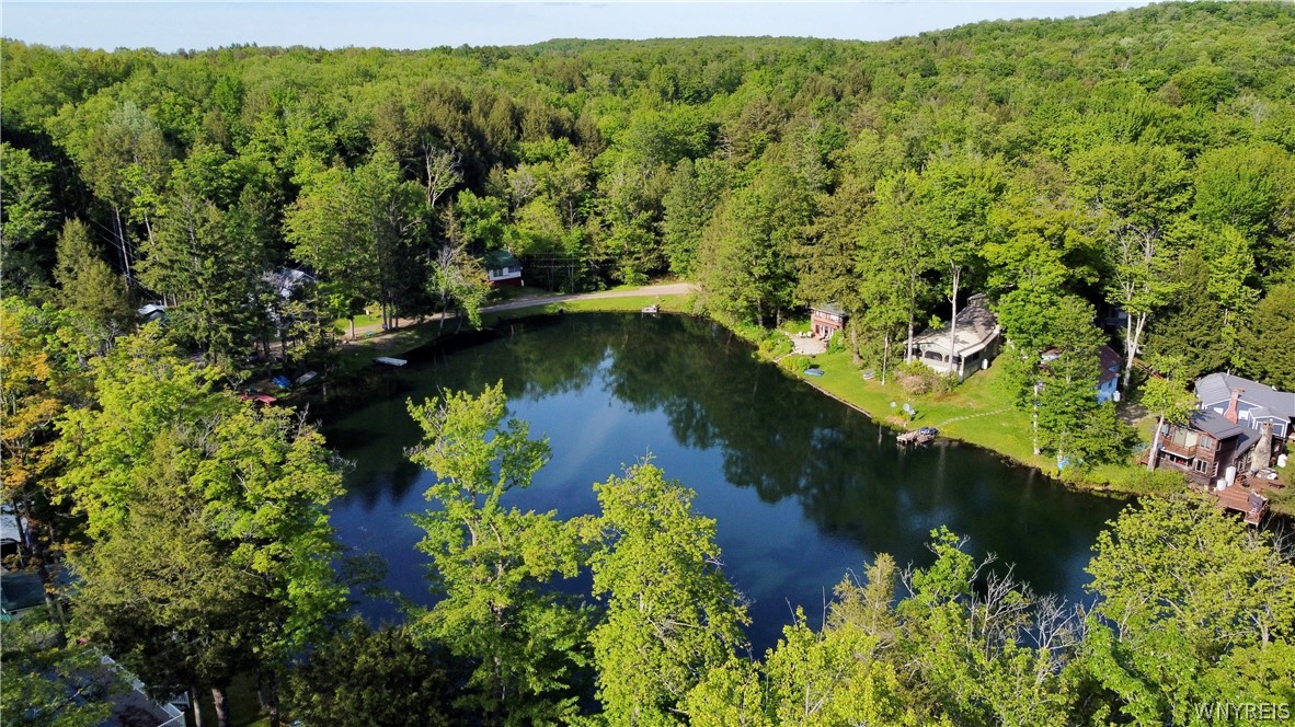 5419 Narrows Rod & Gun Club Road, Unit 36 Little Valley, NY 14755 - Photo 46 of 47