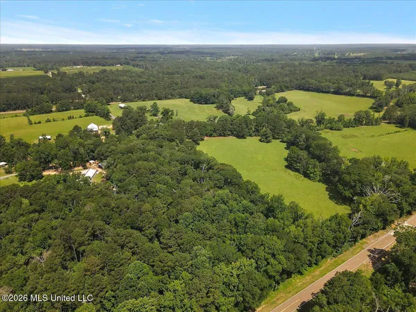 $450,000 | 3350 Mt Pleasant Lane Southeast, Bogue Chitto, MS 39629