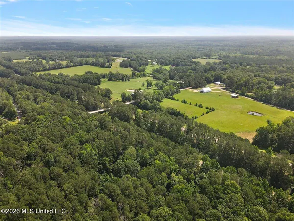 $450,000 | 3350 Mt Pleasant Lane Southeast, Bogue Chitto, MS 39629