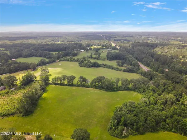 $450,000 | 3350 Mt Pleasant Lane Southeast, Bogue Chitto, MS 39629