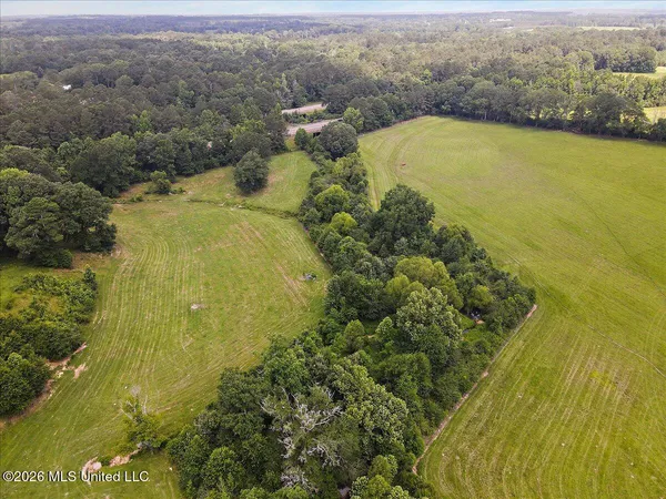 $450,000 | 3350 Mt Pleasant Lane Southeast, Bogue Chitto, MS 39629