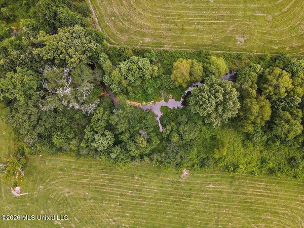 $450,000 | 3350 Mt Pleasant Lane Southeast, Bogue Chitto, MS 39629