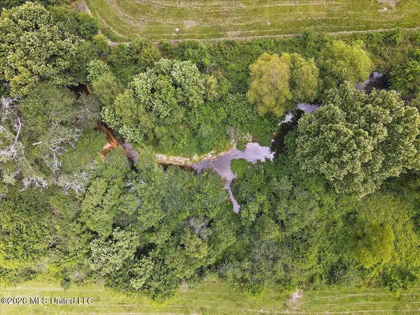 $450,000 | 3350 Mt Pleasant Lane Southeast, Bogue Chitto, MS 39629