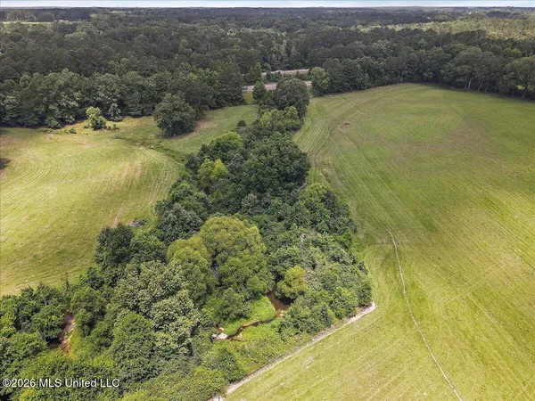 $450,000 | 3350 Mt Pleasant Lane Southeast, Bogue Chitto, MS 39629