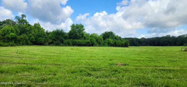 $450,000 | 3350 Mt Pleasant Lane Southeast, Bogue Chitto, MS 39629