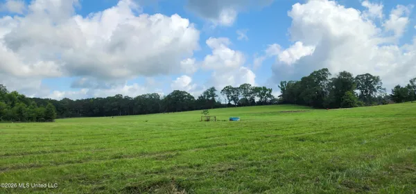 $450,000 | 3350 Mt Pleasant Lane Southeast, Bogue Chitto, MS 39629