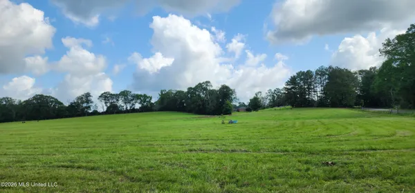 $450,000 | 3350 Mt Pleasant Lane Southeast, Bogue Chitto, MS 39629